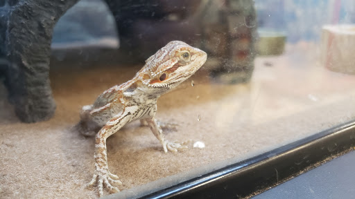 Pet Supply Store «Petco Animal Supplies», reviews and photos, 855 E Bidwell St, Folsom, CA 95630, USA