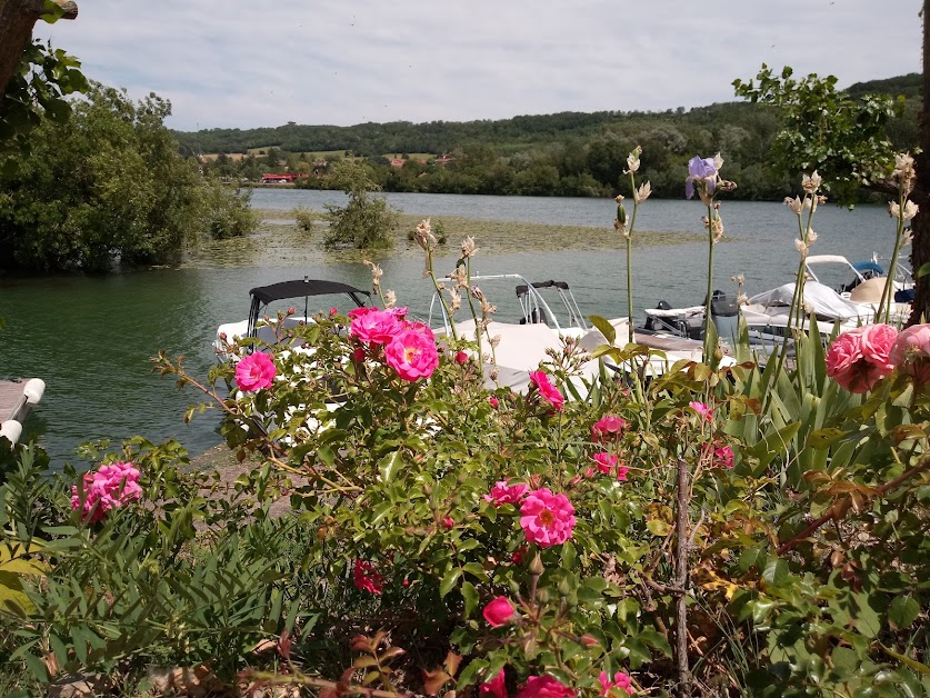 La Voile Verte Albigny-sur-Saône