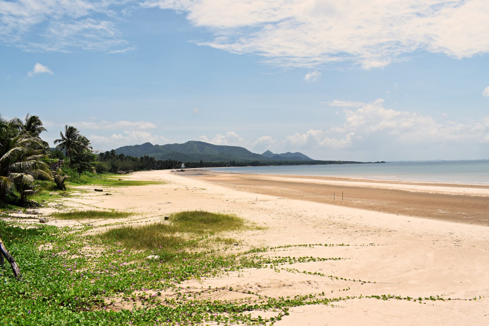 Photo de Saphli Beach - bon endroit convivial pour les animaux de compagnie pour les vacances