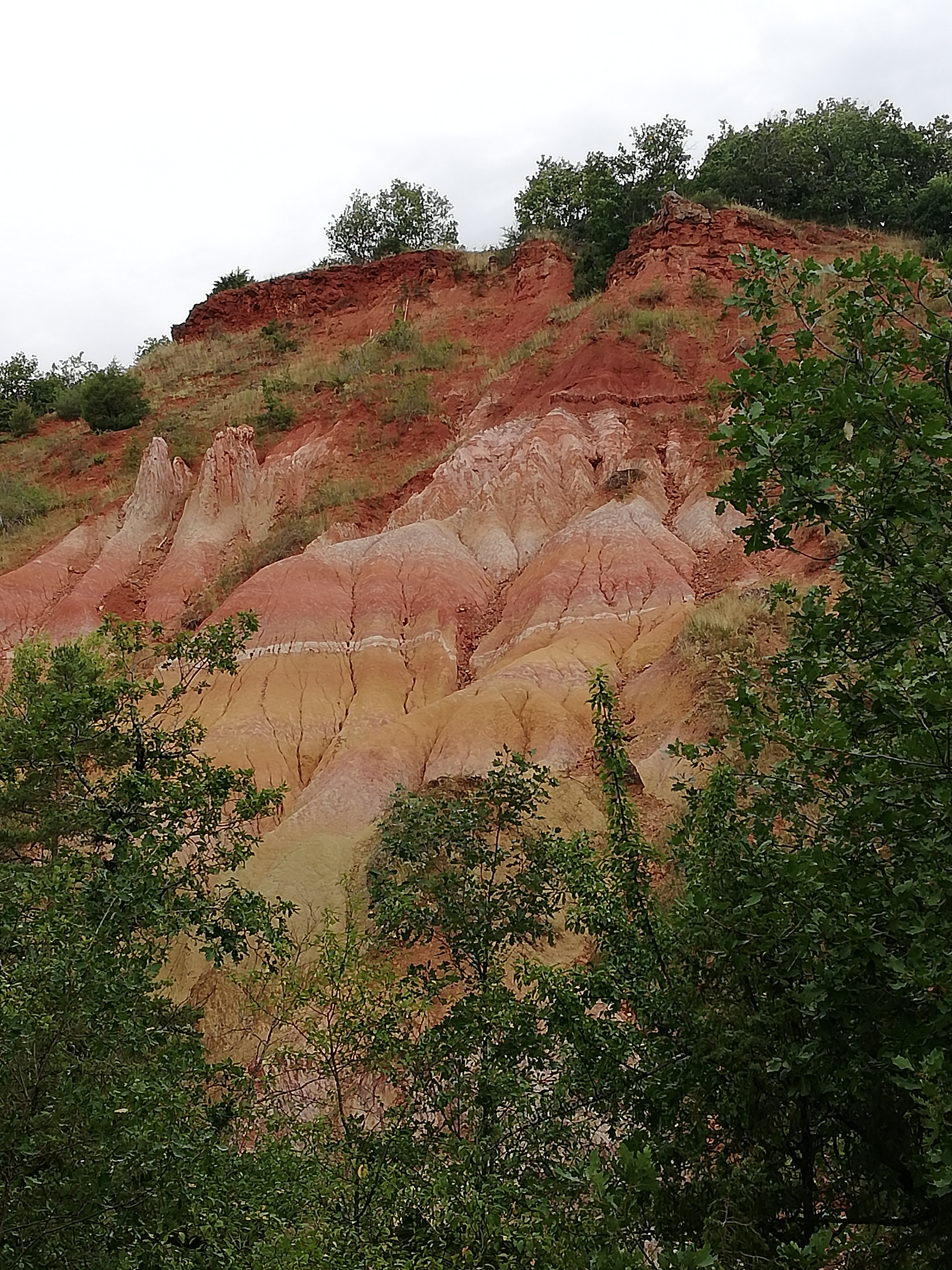 Photo n° 7 de l'avis de Julien.e fait le 17/08/2020 à 07:42