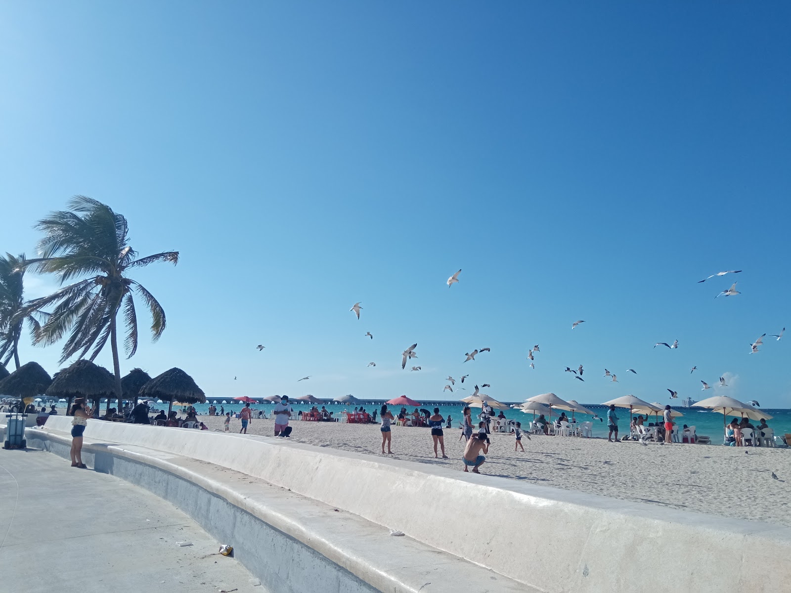 Foto av Playa Progreso med lång rak strand