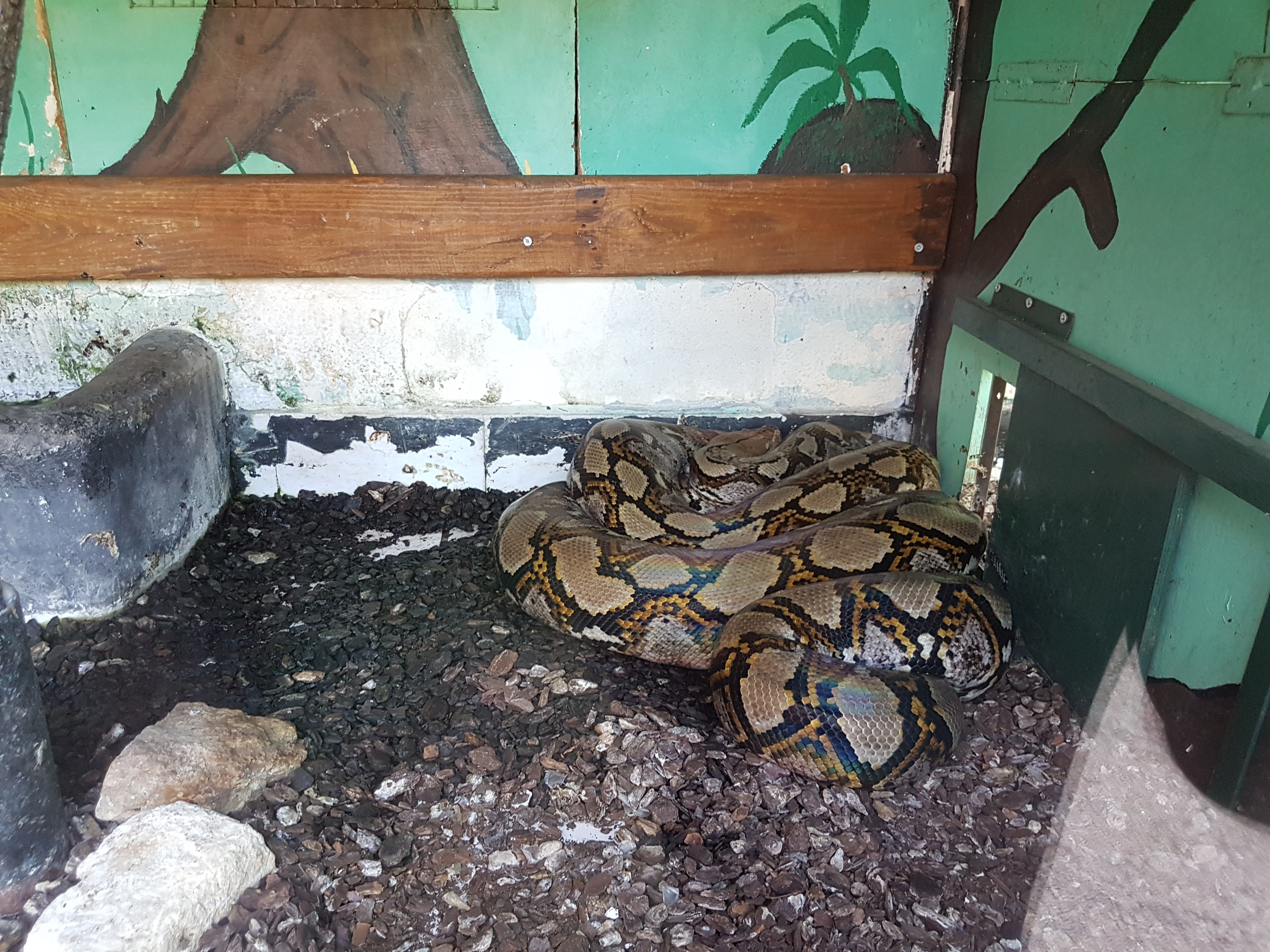 Photo n° 1 de l'avis de Armand.A fait le 09/09/2018 à 19:52