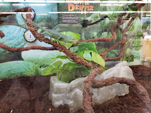 Pet Supply Store «Petco Animal Supplies», reviews and photos, 190 Quality Dr, Hooksett, NH 03106, USA