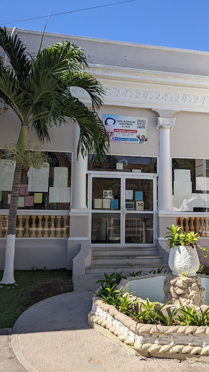 Centro de Desarrollo Infantil de Mérida A. C