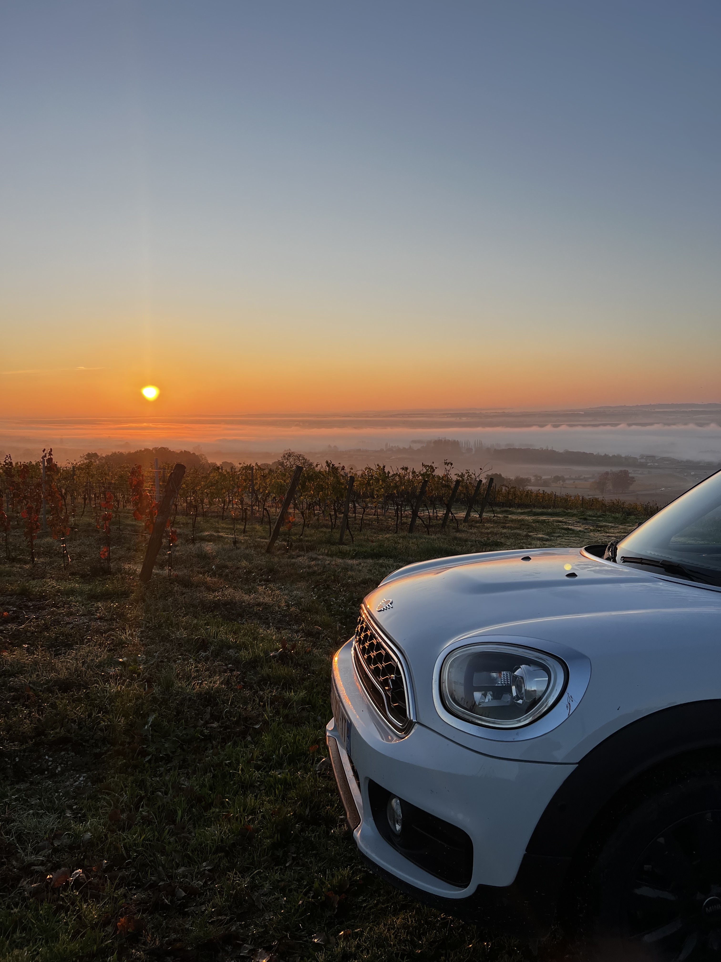 Photo n° 3 de l'avis de Mégane.i fait le 13/10/2022 à 10:55