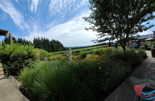 Winery «Ardiri Winery & Vineyards», reviews and photos, 35040 Southwest Unger Road, Cornelius, OR 97113, USA