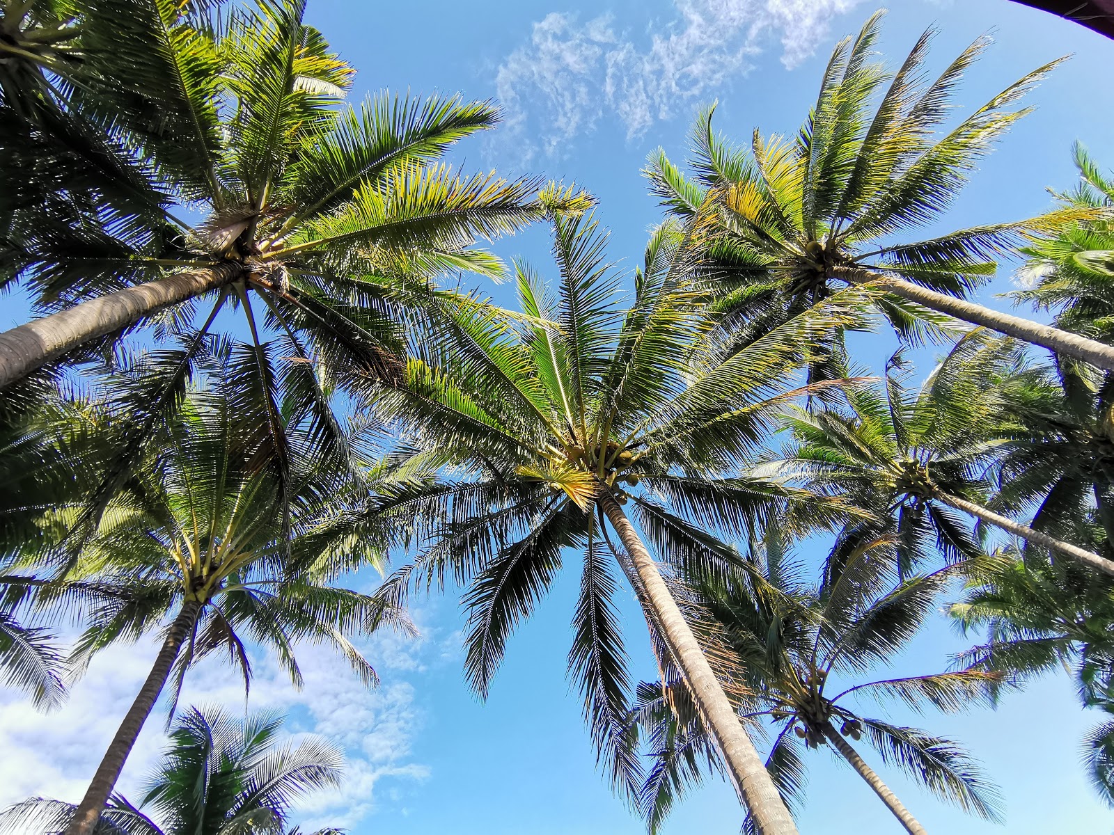 Foto de Gevela's Beach localizado em área natural