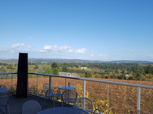 Winery «Raptor Ridge Winery», reviews and photos, 18700 SW Hillsboro Hwy, Newberg, OR 97132, USA