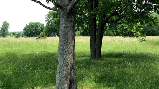 Public Golf Course «Trump Golf Links, Ferry Point», reviews and photos, 500 Hutchinson River Pkwy, Bronx, NY 10465, USA