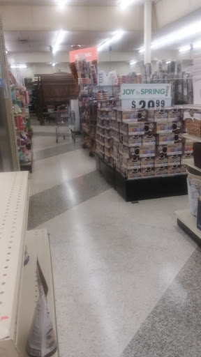 Discount Store «Big Lots», reviews and photos, 2412 S Volusia Ave, Orange City, FL 32763, USA