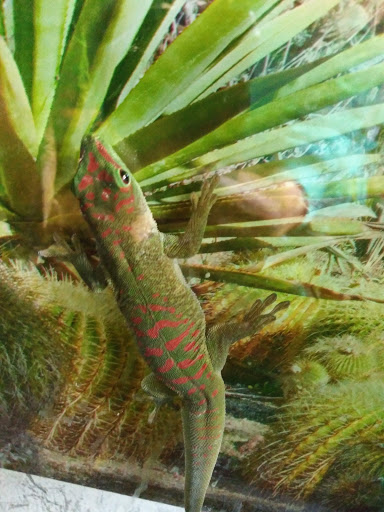 Pet Supply Store «E & M Pet Shop», reviews and photos, 5900 Whittier Blvd, Los Angeles, CA 90022, USA