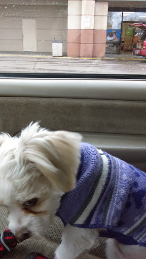 Pet Store «Petland», reviews and photos, 2123 Old Hudson Rd, St Paul, MN 55119, USA