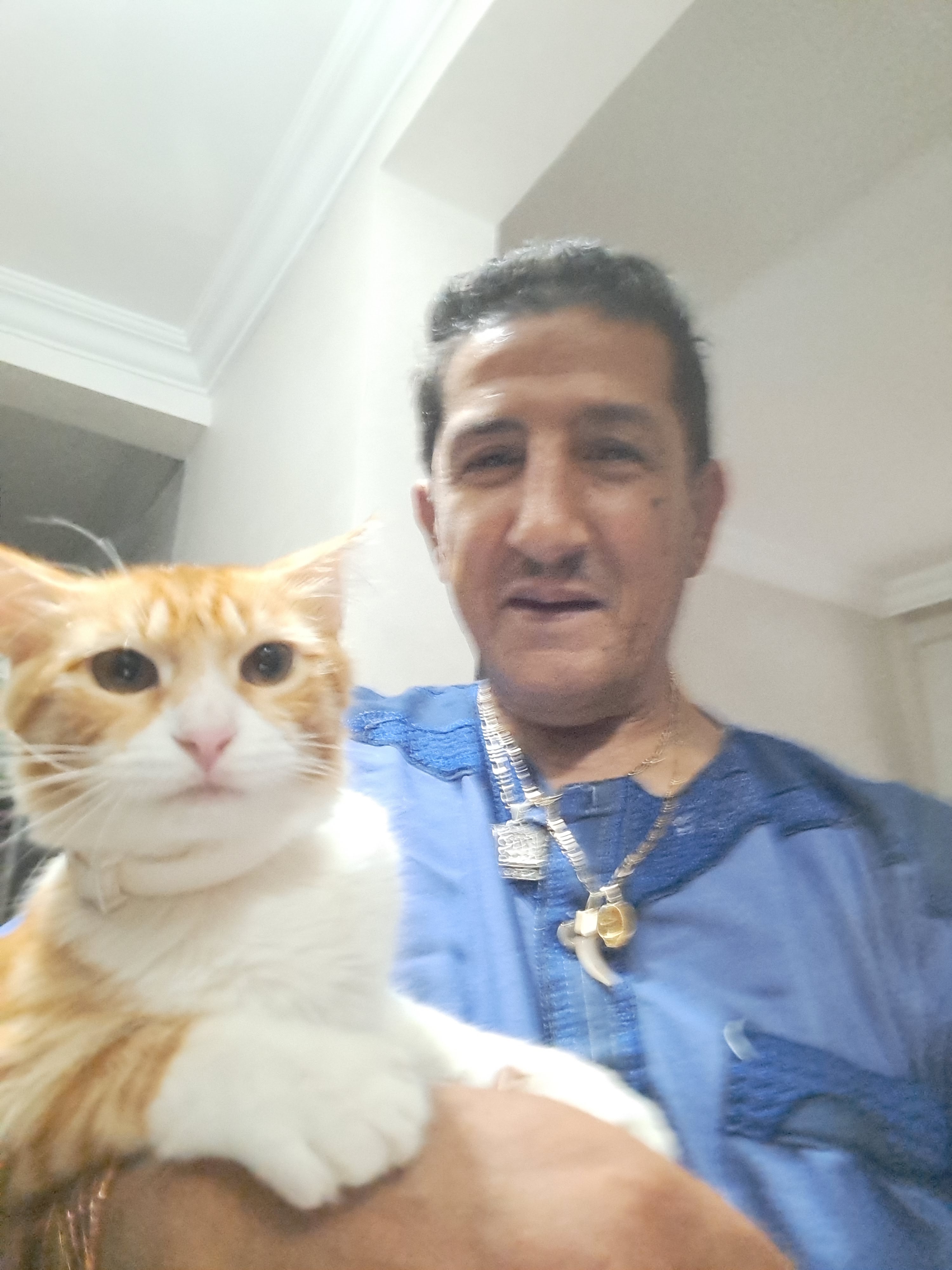Photo n° 2 de l'avis de Mrabet.b fait le 09/11/2022 à 01:21