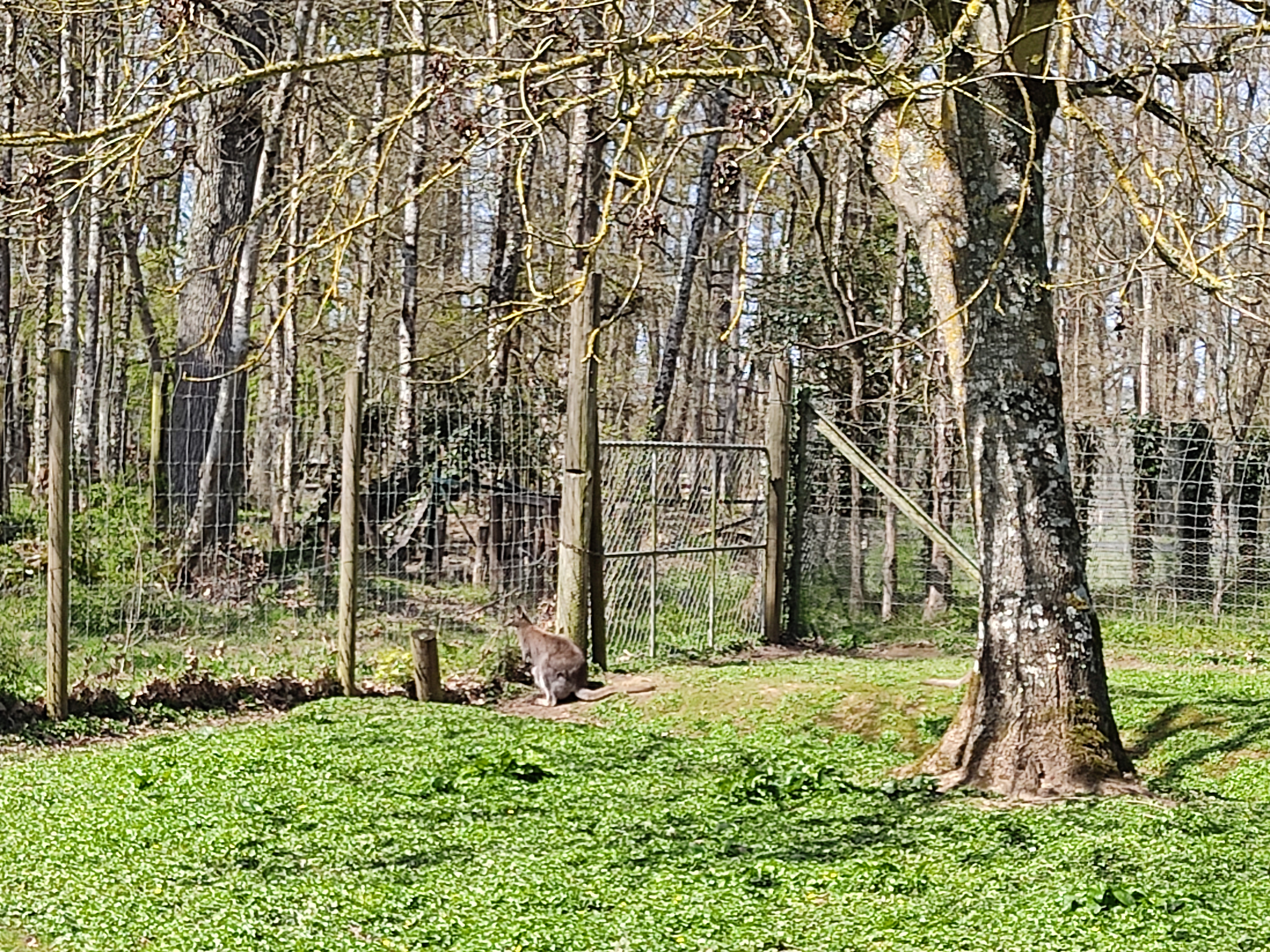 Photo n° 1 de l'avis de Fatima.e fait le 09/04/2023 à 16:08