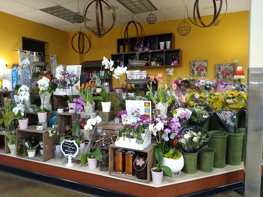 Grocery Store «Kroger», reviews and photos, 400 S Maple Rd, Ann Arbor, MI 48103, USA