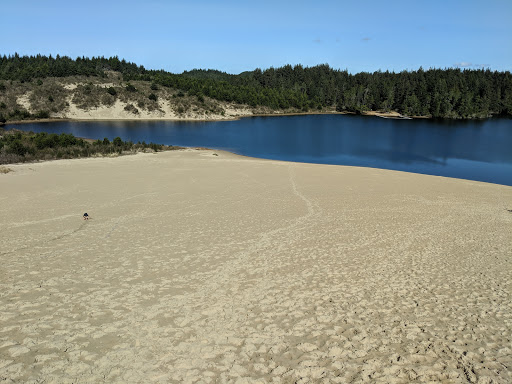 Recreation Center «Sand Master Park - Sandboarding», reviews and photos, 5351 US-101, Florence, OR 97439, USA