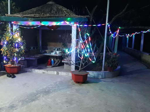 Hoa Van Giang
