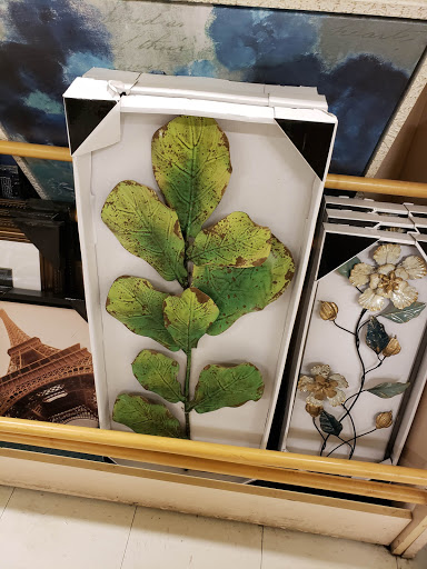 Fabric Store «Jo-Ann Fabrics and Crafts», reviews and photos, 12550 Elm Creek Blvd N, Maple Grove, MN 55369, USA