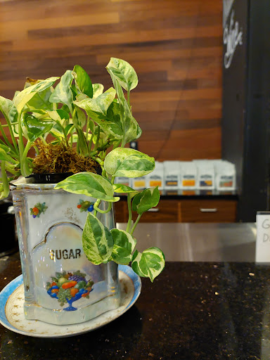 Coffee Shop «Bold Bean Coffee Roasters», reviews and photos, 869 Stockton St, Jacksonville, FL 32204, USA