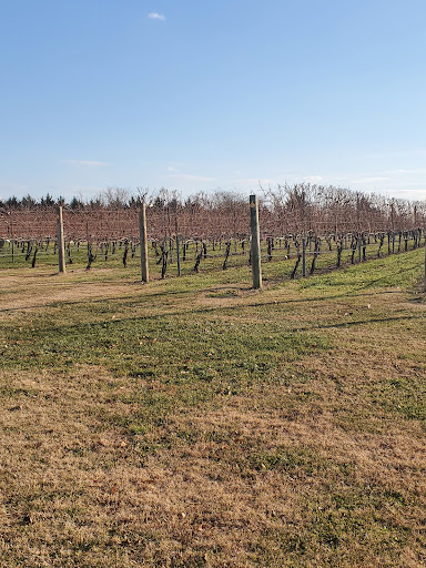Winery «Auburn Road Vineyard & Winery», reviews and photos, 117 Sharptown, Pilesgrove, NJ 08098, USA