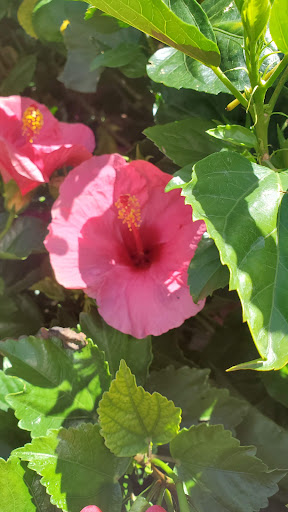 Home Improvement Store «The Home Depot», reviews and photos, 750 US-130, Robbinsville, NJ 08691, USA