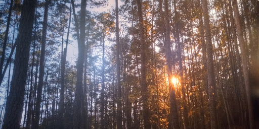 National Park «Harriet Tubman Underground Railroad National Historical Park», reviews and photos, 4068 Golden Hill Rd, Church Creek, MD 21622, USA