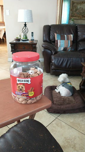 Pet Supply Store «PetSmart», reviews and photos, 2140 17th St, Santa Ana, CA 92705, USA