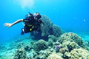 Jordan diving centre image