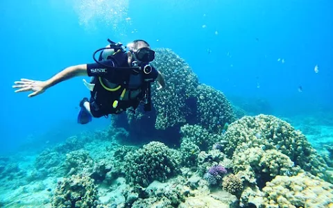 Jordan diving centre image