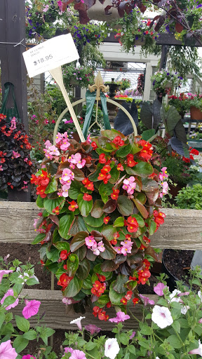 Florist «Laurel Grove Florist», reviews and photos, 16 High St, Port Jervis, NY 12771, USA