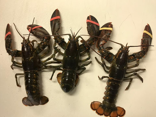 Seafood Market «Seven Seas Seafood Market», reviews and photos, 3476 US-17 BUS, Murrells Inlet, SC 29576, USA