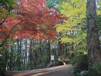 白山神社