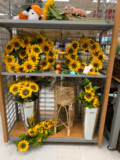 Department Store «T.J. Maxx», reviews and photos, 30965 Five Mile Road, Livonia, MI 48154, USA