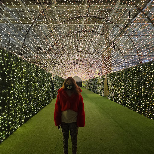 Noel Indoor Light Park & Christmas Market 8200 W Greenfield Ave, West