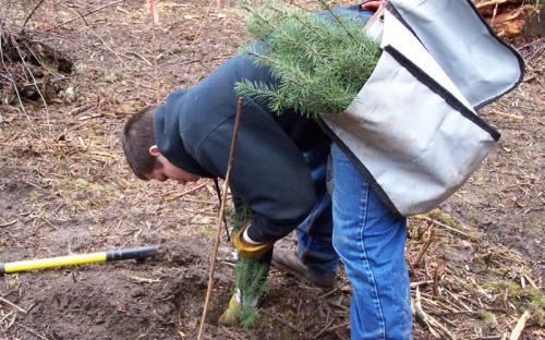 Forestry Service «Hopkins Demonstration Forest», reviews and photos, 16750 S Brockway Rd, Oregon City, OR 97045, USA
