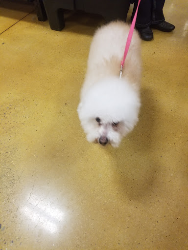 Pet Supply Store «PetSmart», reviews and photos, 1600 N Jackson St #310, Tullahoma, TN 37388, USA