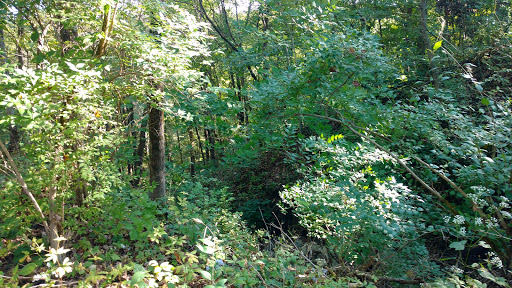 Park «Carter Park», reviews and photos, 1720 King Ave, Kings Mills, OH 45034, USA