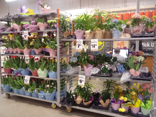 Home Improvement Store «The Home Depot», reviews and photos, 80 Buckland Hills Dr, Manchester, CT 06042, USA