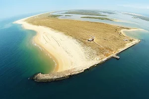 Ria Formosa Boat Tours - Animaris Desert Island image