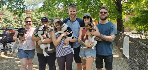 Dog Park «Wiggly Field Dog Friendly Area», reviews and photos, 2645 N Sheffield Ave, Chicago, IL 60614, USA