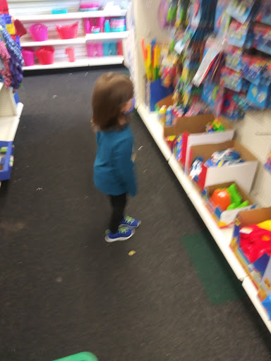 Dollar Store «Dollar Tree», reviews and photos, 1832 Leithsville Rd, Hellertown, PA 18055, USA