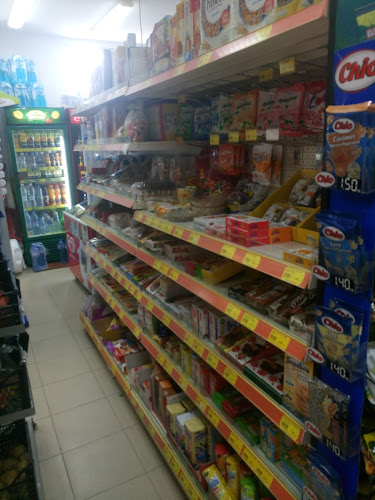 Comentarii opinii despre Langusta 66