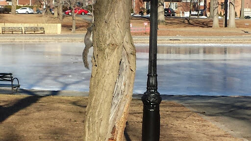 Park «Bowne Park», reviews and photos, 156-17 29th Ave, Flushing, NY 11354, USA