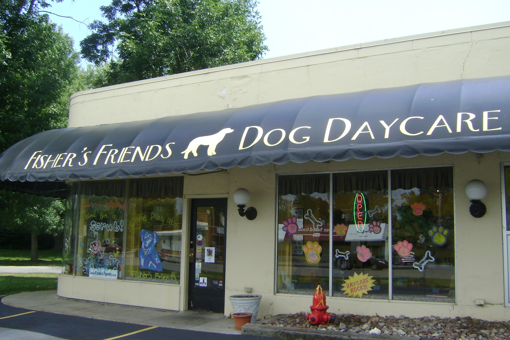 Fisher's Friends Dog Daycare & Grooming Spa
