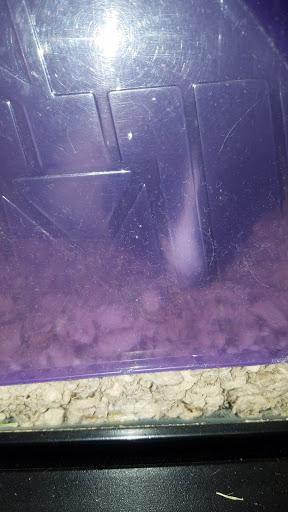 Pet Supply Store «Pet Supplies Plus», reviews and photos, 9630 Transit Rd Suite 400, East Amherst, NY 14051, USA