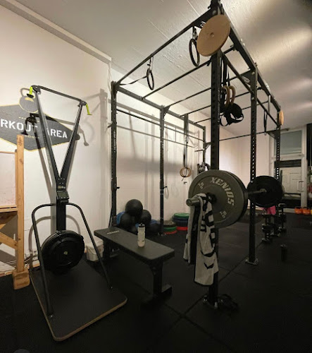Rezensionen über Workout Area in Lugano - Fitnessstudio