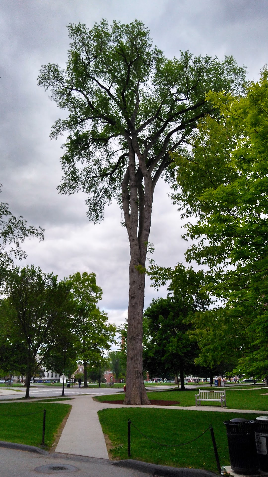 Dartmouth College Parkhurst