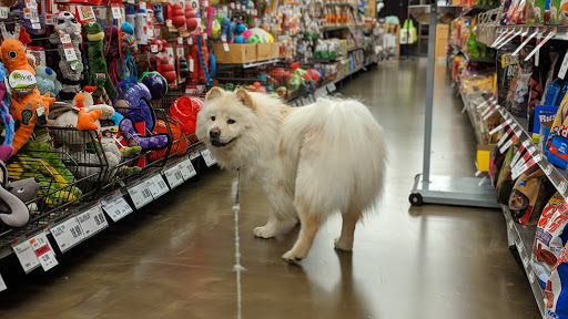 Pet Supply Store «Pet Supplies Plus», reviews and photos, 1031 Northwest Hwy, Garland, TX 75041, USA