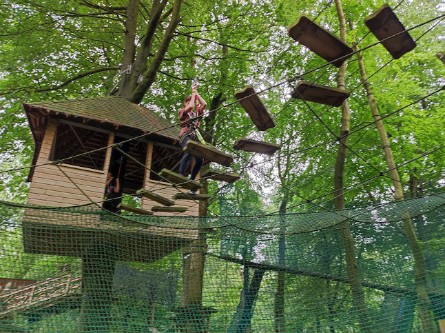 Reviews of Treetop Manchester - Treetop Trek & Treetop Nets in Manchester - Event Planner