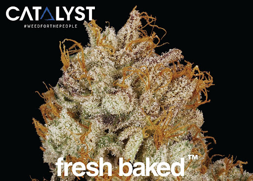 Catalyst Cannabis Costa Mesa image